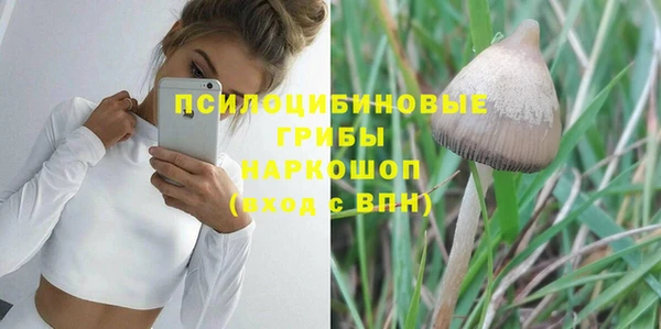 марки lsd Бородино