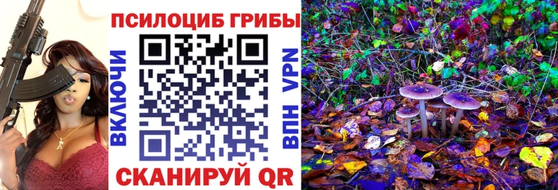 Псилоцибиновые грибы Psilocybe  закладка  Междуреченск 